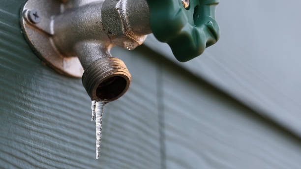 Best Shower Repair Services  in Quail Creek, TX